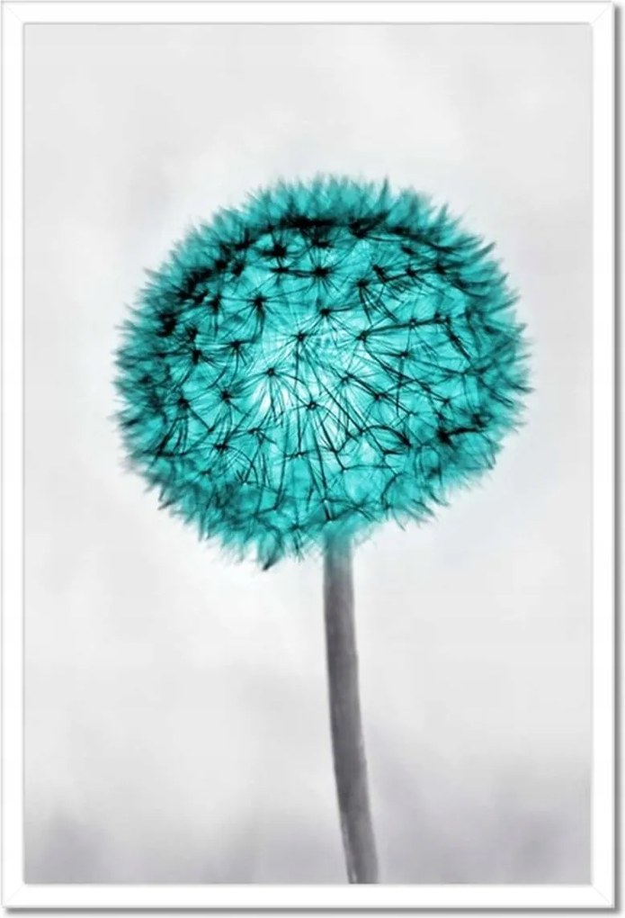 Poszterek keretben 40x60 Pitypangok