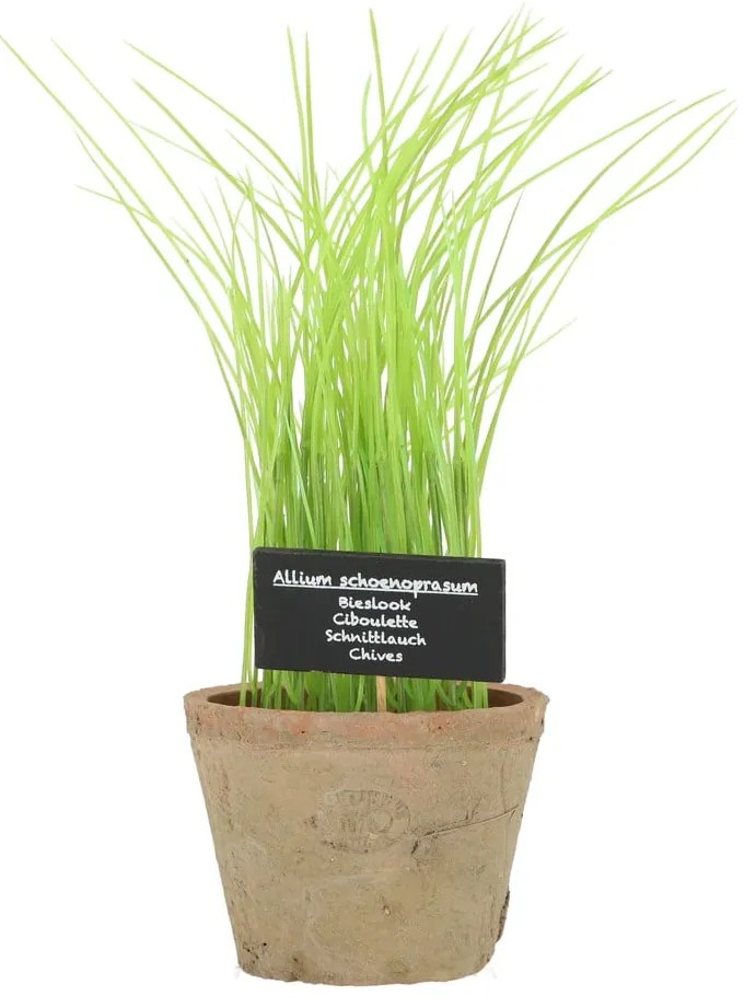Műnövény (magasság 27 cm) Chives – Esschert Design
