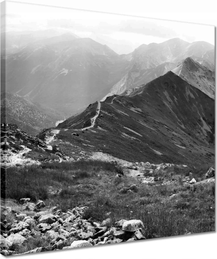 Vászonkép 40x40 Tátra Lengyel hegyek Kilátás