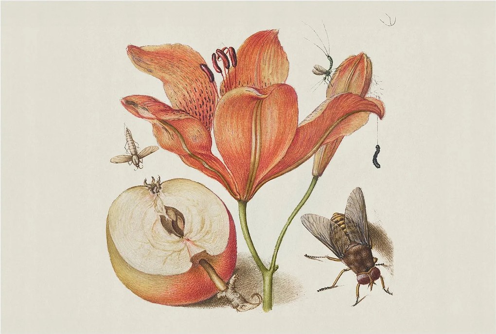 Fotótapéta Flizelina falra 3D Loft Botanikus illusztráció 104x70 Ragasztó