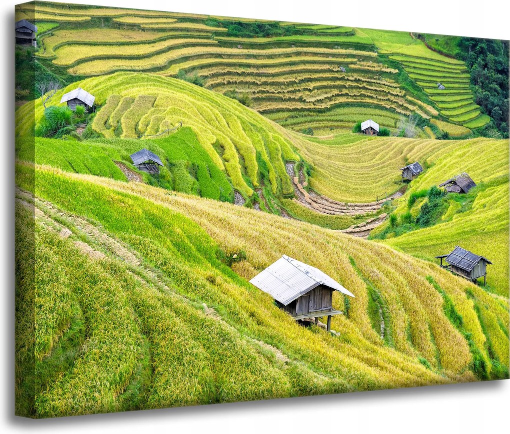 Vászonkép Természet Mezőgazdasági teraszok 70x50 cm
