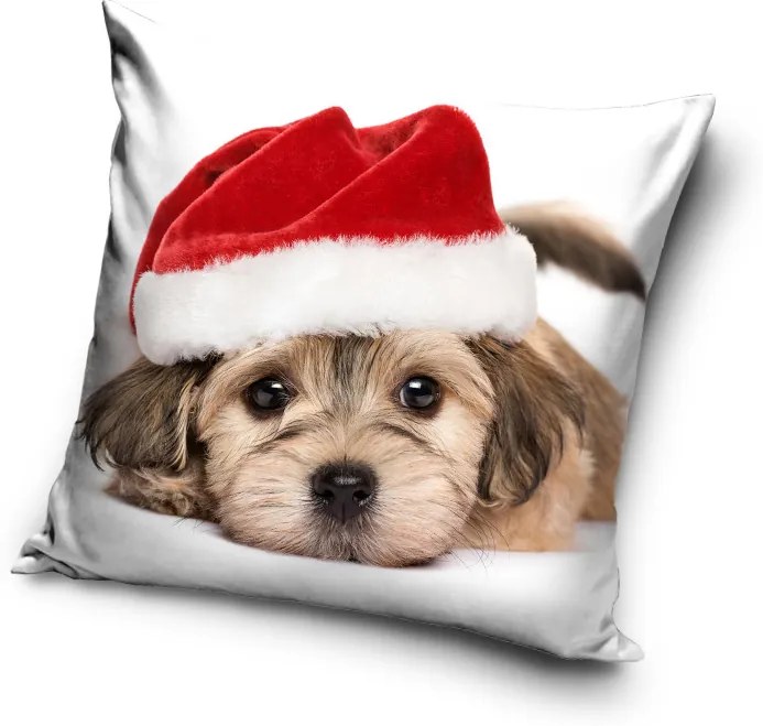Kutyás Santa Hat párnahuzat 40x40 cm Velúr