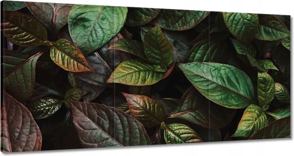 Vászonkép 120x60 Trópusi levelek Levelek