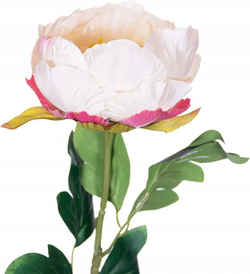 Peonia bazsarózsa krémszínű ág 68cm csokrokhoz