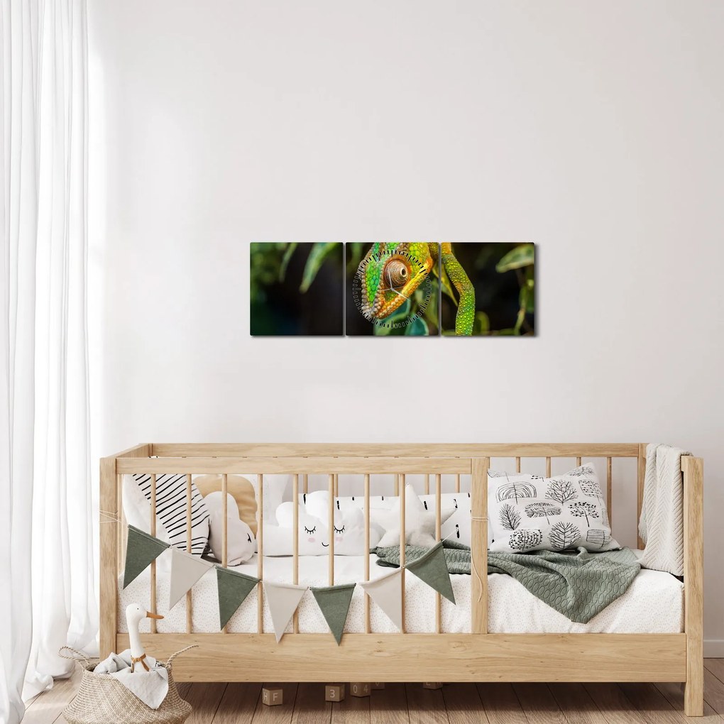 Kaméleon képe (órával) (90x30 cm)