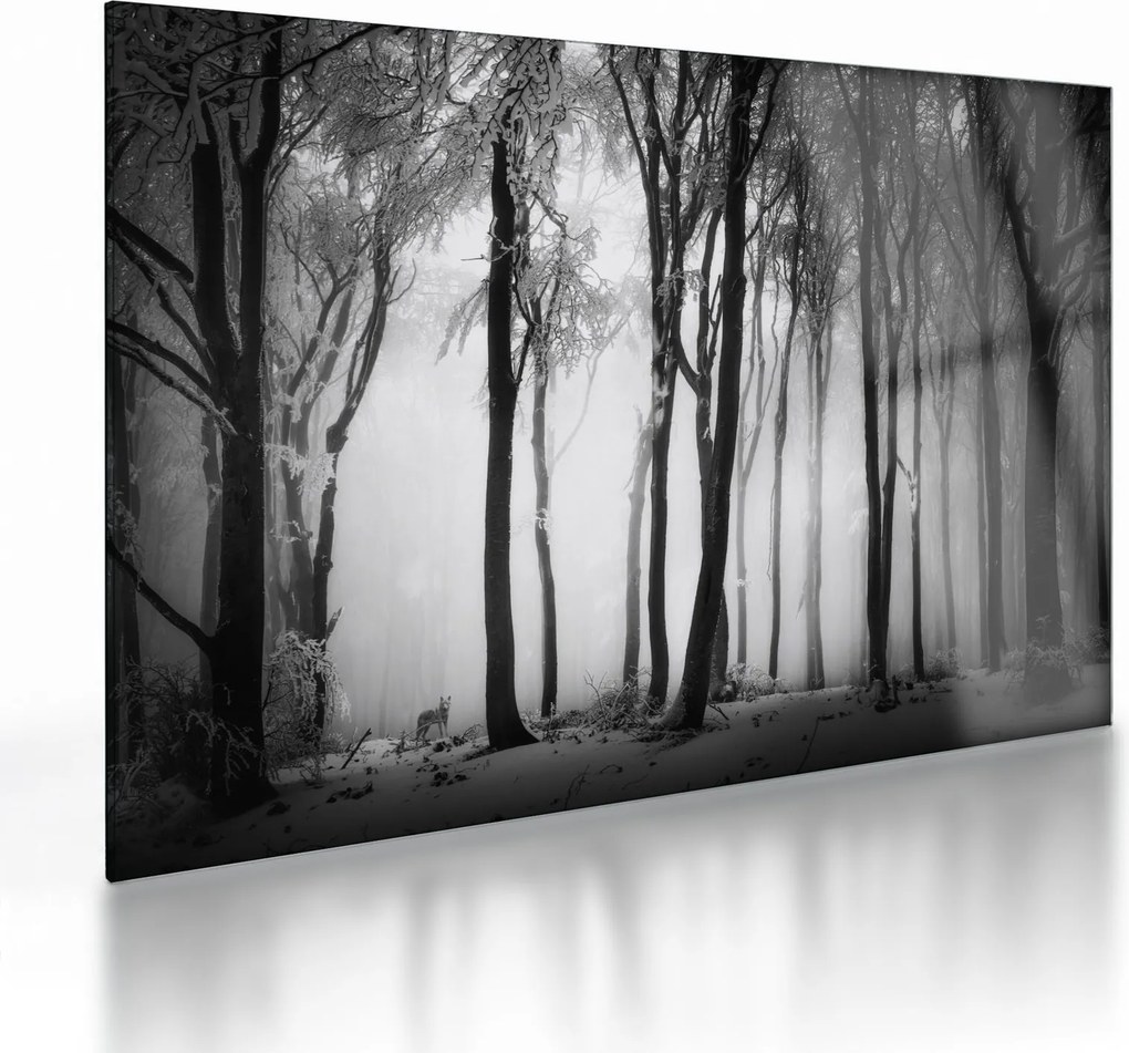 Üveg kép - Farkas a sötét erdőben (70x50 cm)