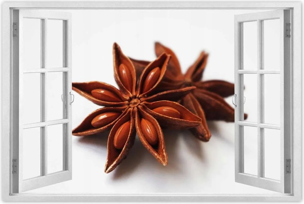 Poszterek 90x60 Ánizs csillag Ánizs