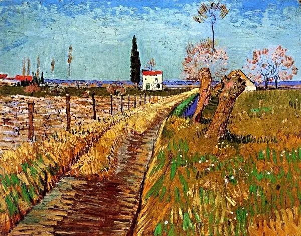 Van Gogh-Field with Willows üvegkép, falikép