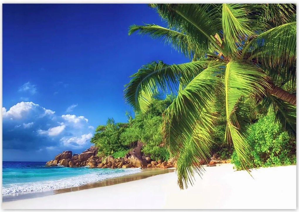 Poszterek 100x70 Trópusok Tájkép Pálmafák