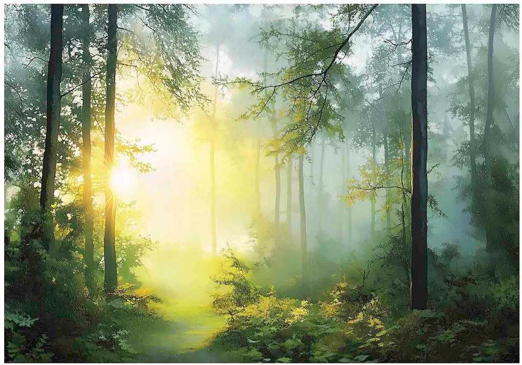 Fotótapéta erdő reggeli köd napsugarak titokzatos éghajlat természet 368