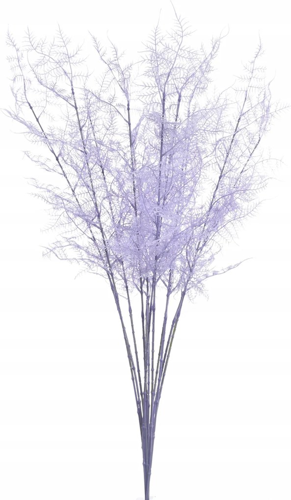 Asparagus Plumosus ág lila 12 db mesterséges kiegészítők