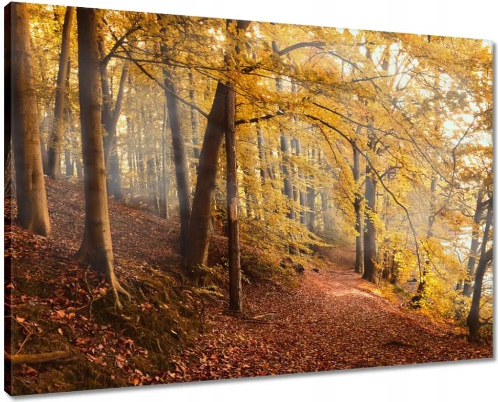 Vászonkép 70x50 Tájkép Látvány