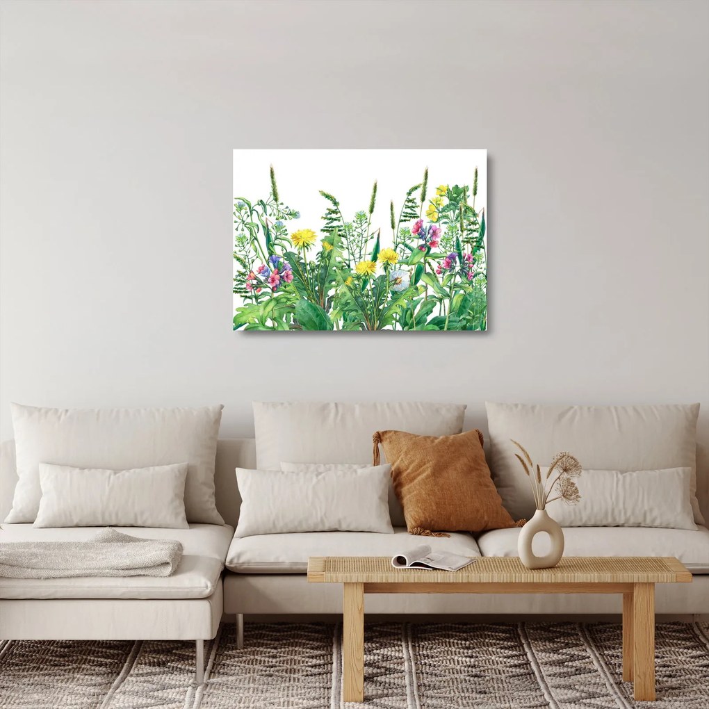 Üveg kép - Festett réti virágok (70x50 cm)