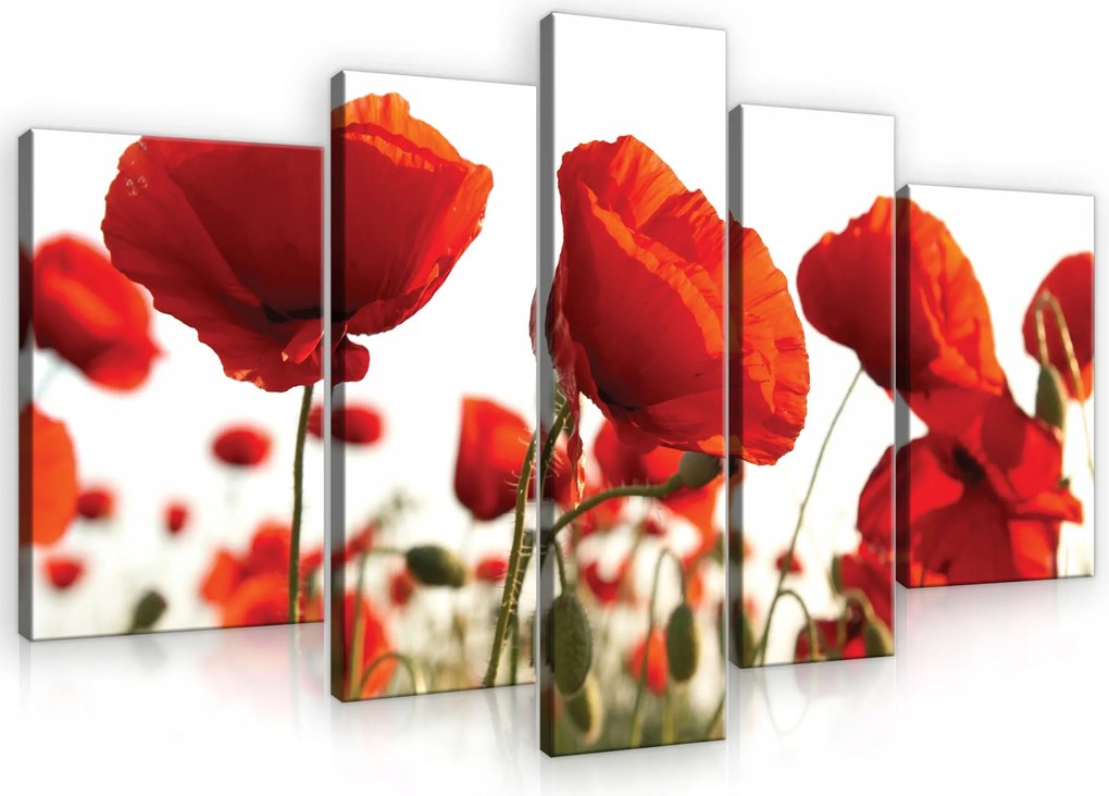 Vászonkép 5 Részes Nagy Pipacs Virágok Vászon Fal Hálószoba Nappali 170x100