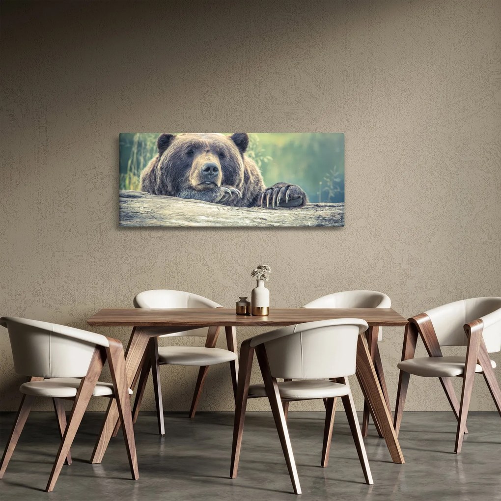 Medve képe (120x50 cm)