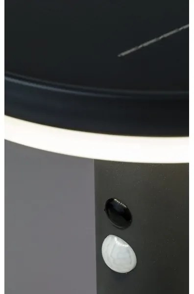 Rabalux 77017 - LED Napelemes lámpa érzékelővel ALASKA LED/10W/3,7V IP44