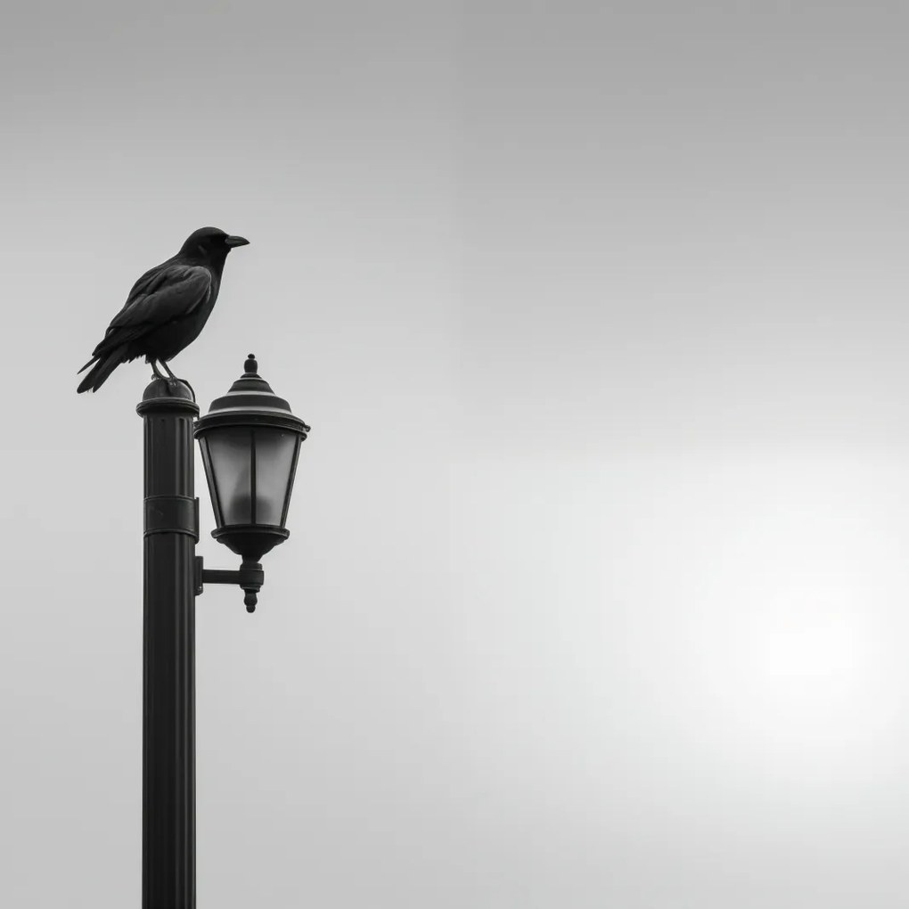 Poszter 20x20cm Magányos Holló Állvány