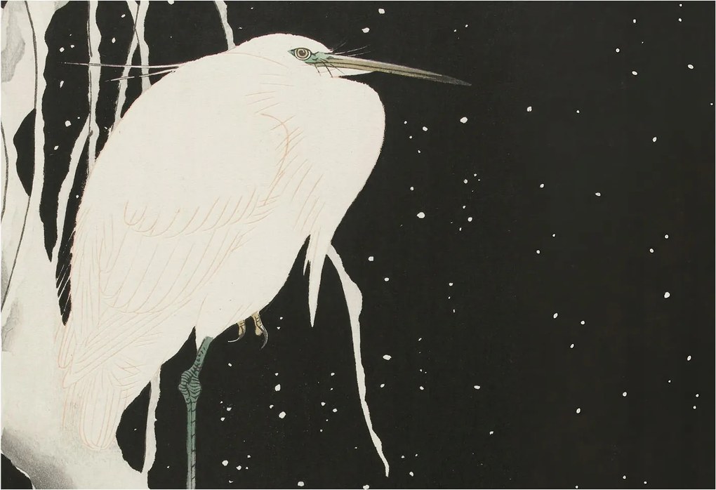 Dekoratív Fotótapéta Hálószobába Téli madár 152x104 Ragasztó