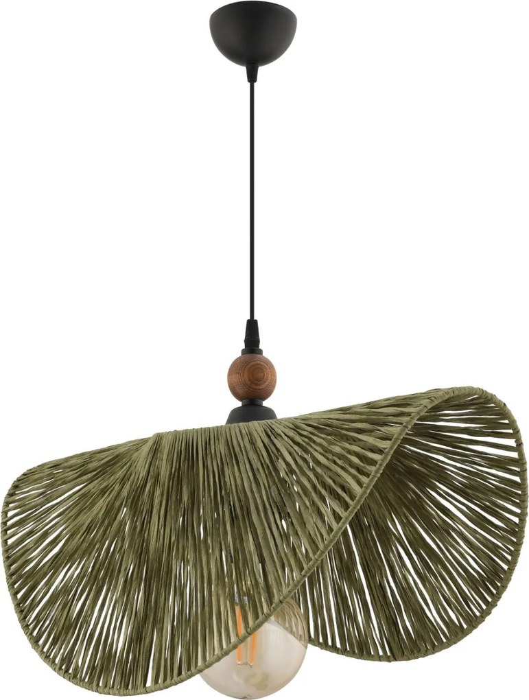 Taco W - Green, Brown