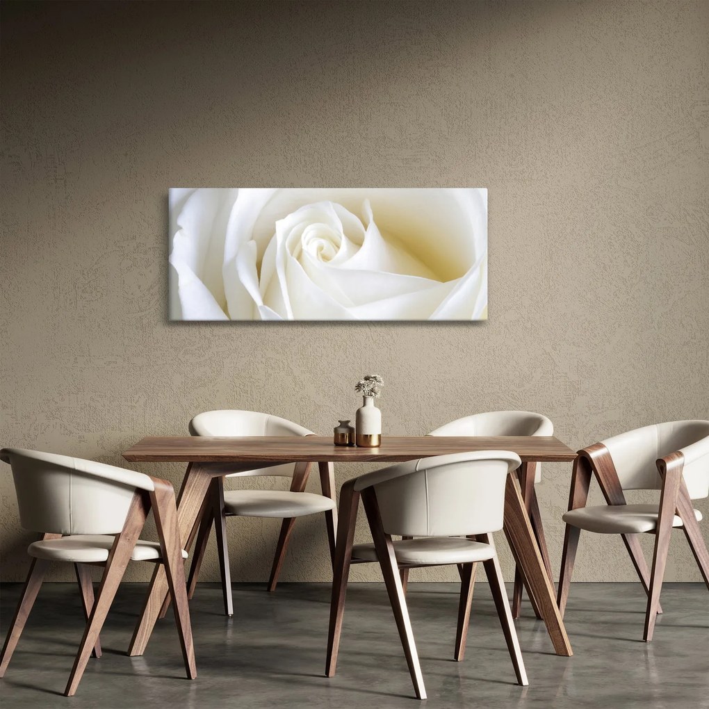 Egy fehér rózsa képe (120x50 cm)