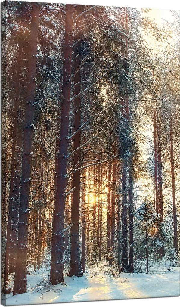 Vászonkép Erdő Tél Hó Fehér Természet 70x120 cm