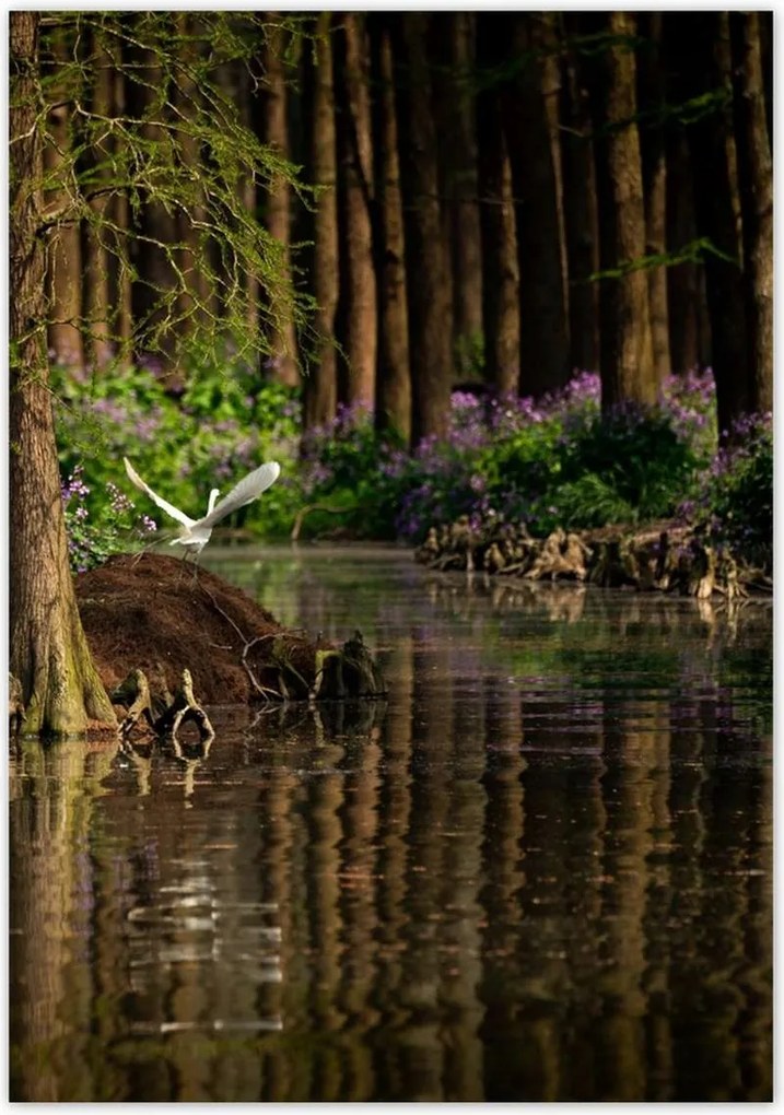 Poszterek 70x100 Tájkép Látvány