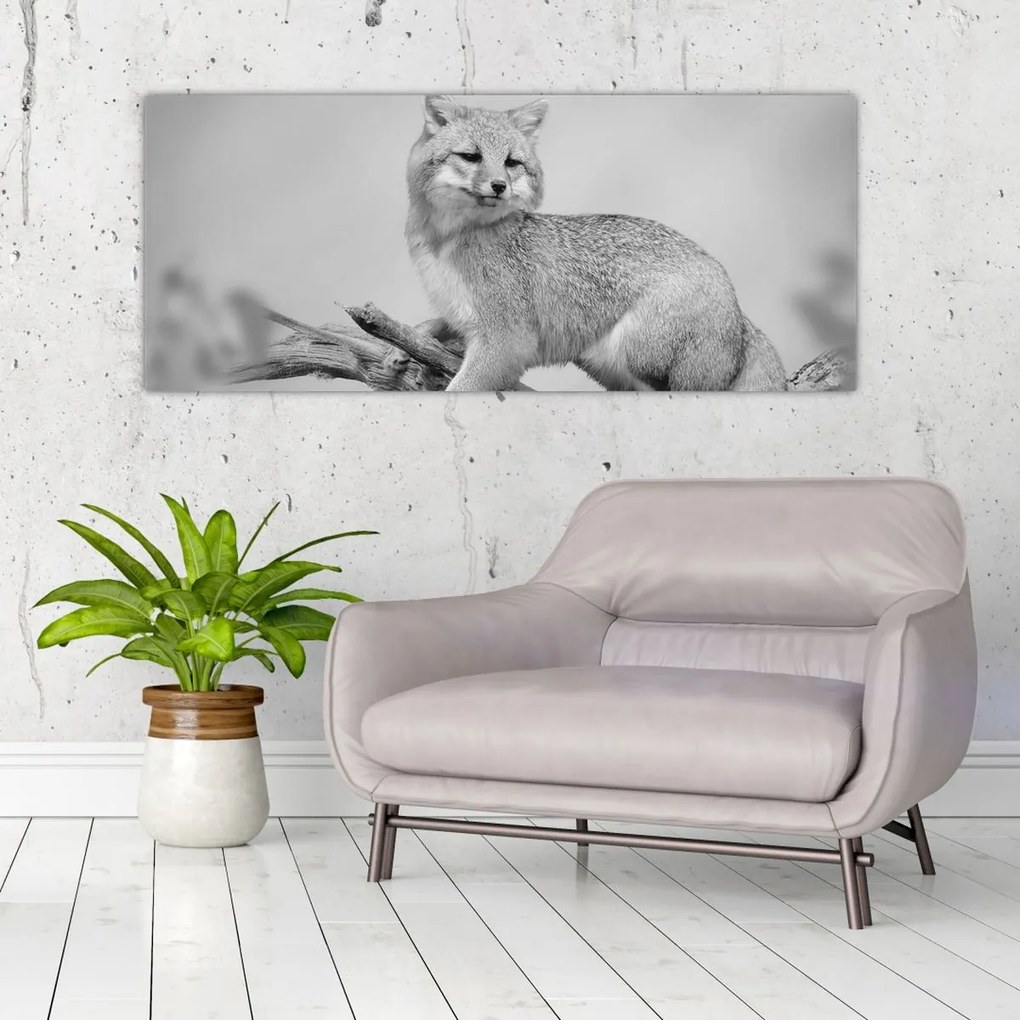 Kép - Szürke róka (120x50 cm)