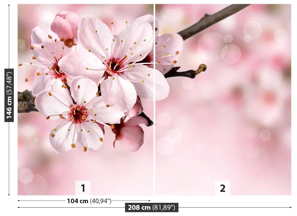 Fotótapéta rózsaszín virág 104x70 cm