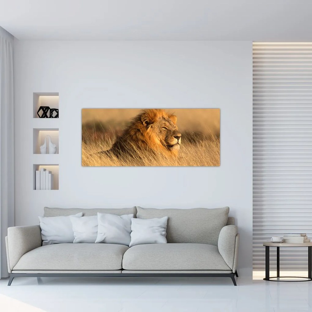 Kép - Etosha Nemzeti Park (120x50 cm)