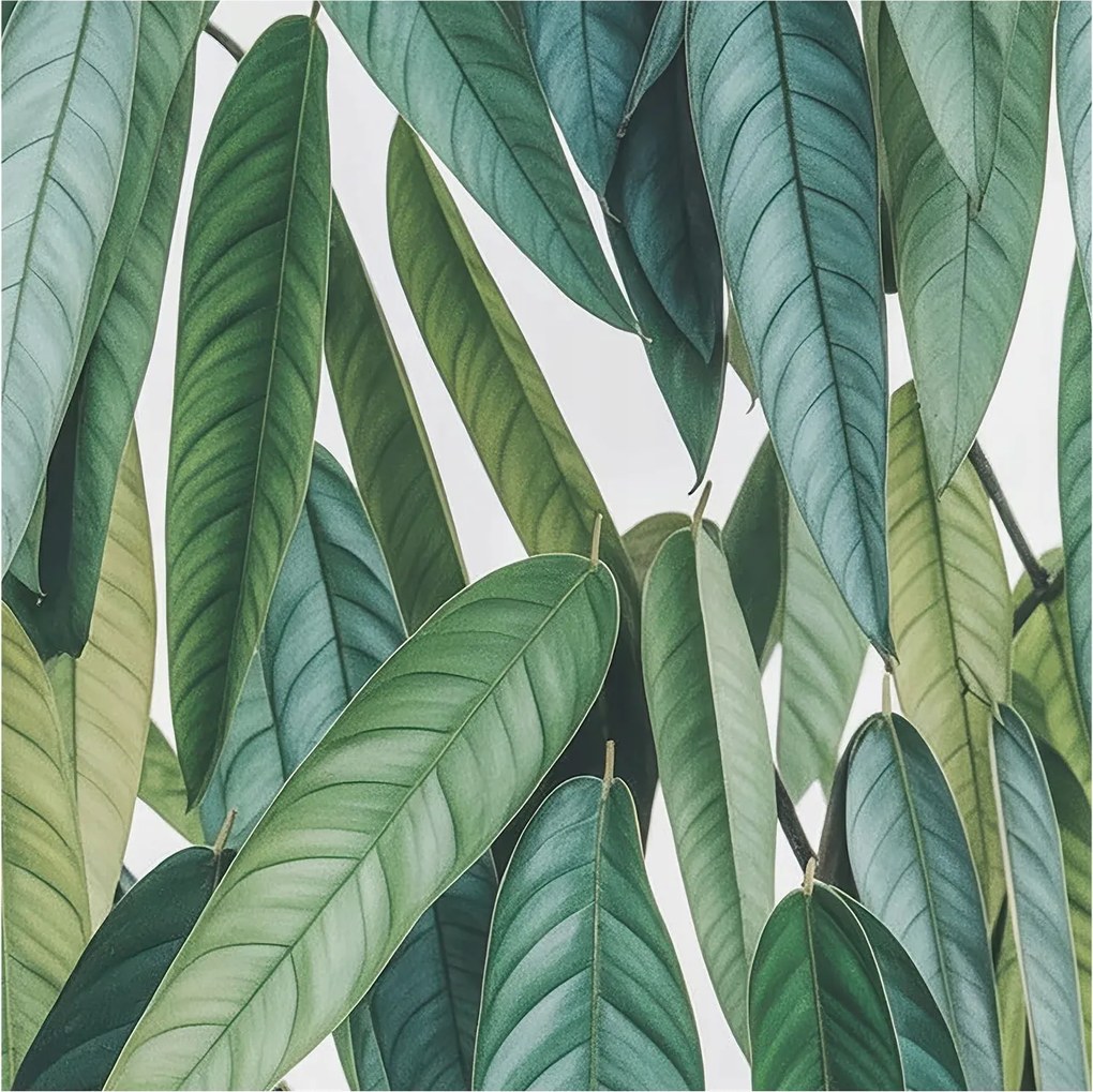 Fali fotótapéta Étkezőbe Természetes levelek 250x250 Ragasztó