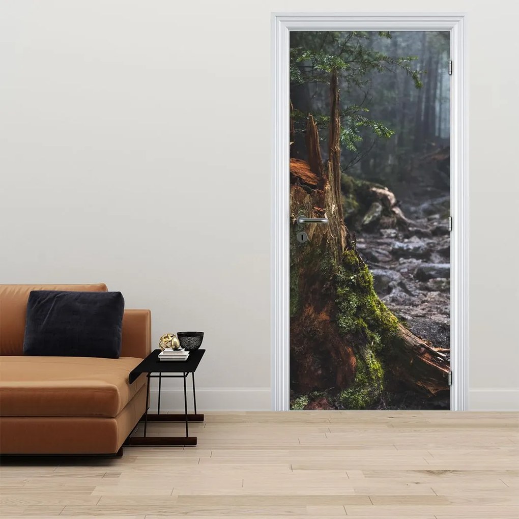 Fotótapéta ajtóra - Az erdőben (95x205cm)