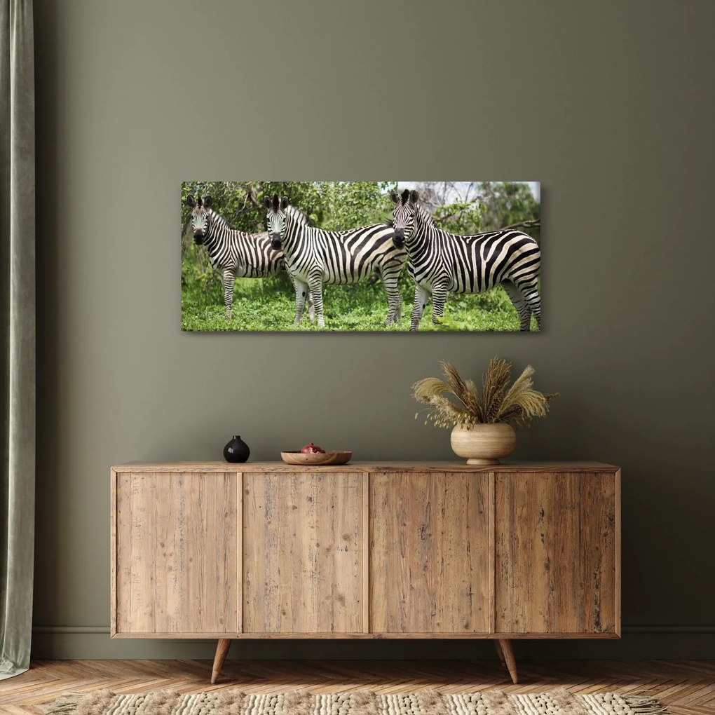 Zebrák képe (120x50 cm)