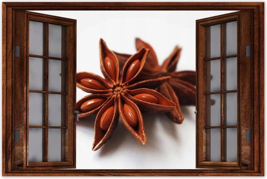 Poszterek 90x60 Ánizs csillag Ánizs