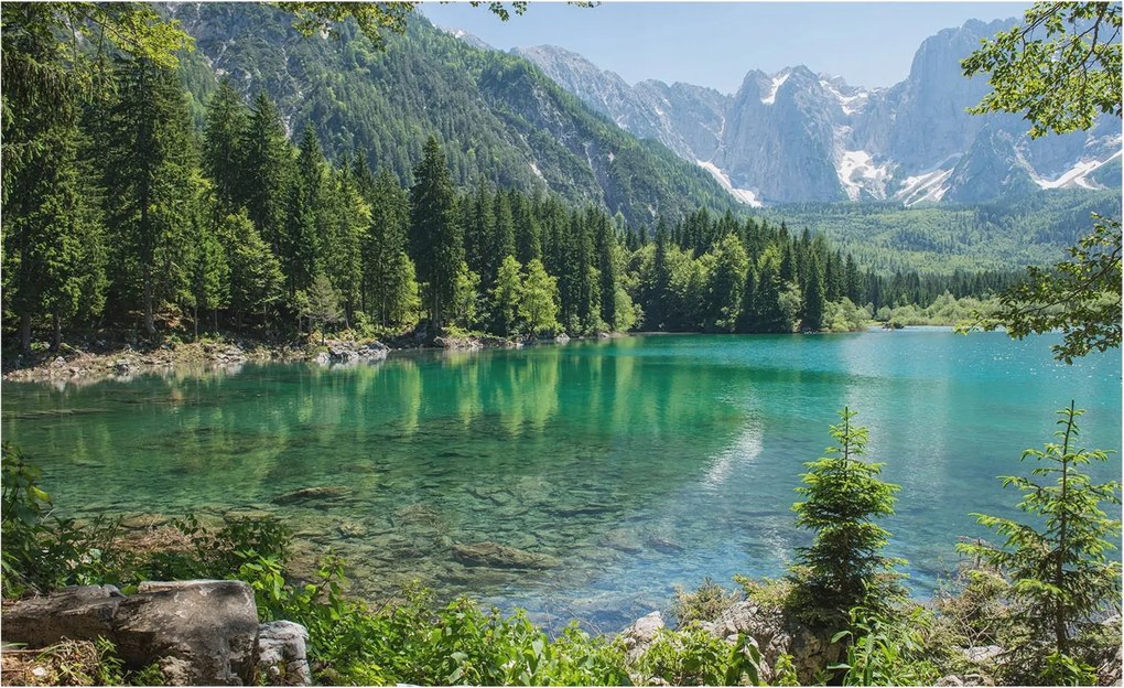 Fotótapéta Flizelin Dekoratív Hálószoba Zöld tó 416x254