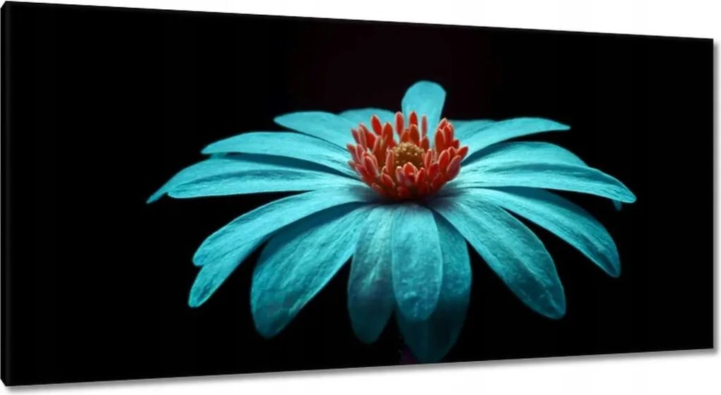 Vászonkép 115x55 Türkiz virág