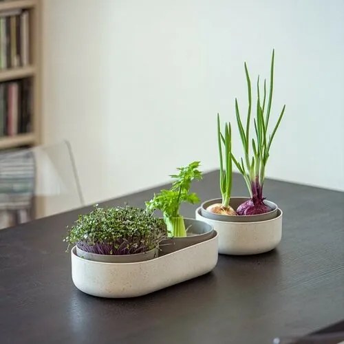Plastia Microgreens+Regrow Nagy Farm, elefántcsont kávézaccal