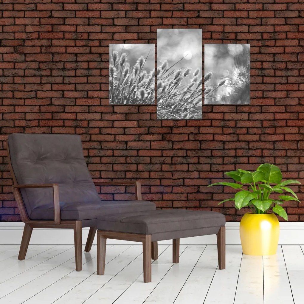 Kép - Bézs színű puha fű N⁰1 (90x60 cm)