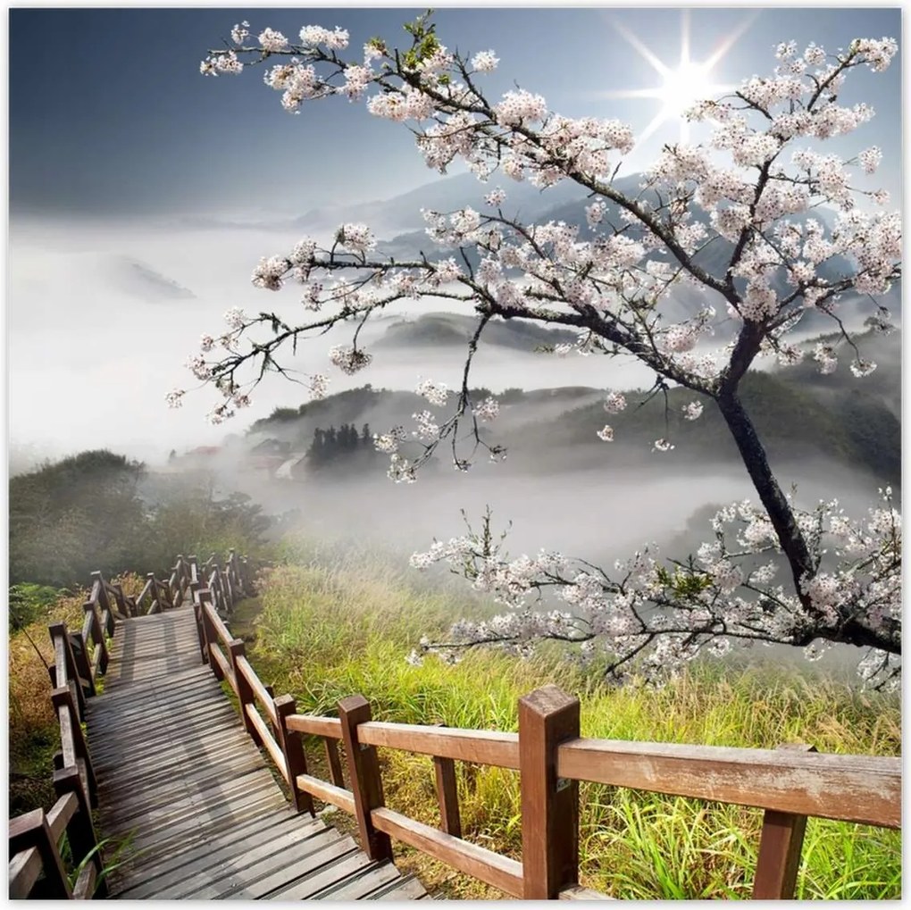 Poszterek 30x30 Japán Virágzó cseresznye