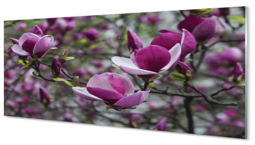Üvegképek lila magnólia 120x60cm
