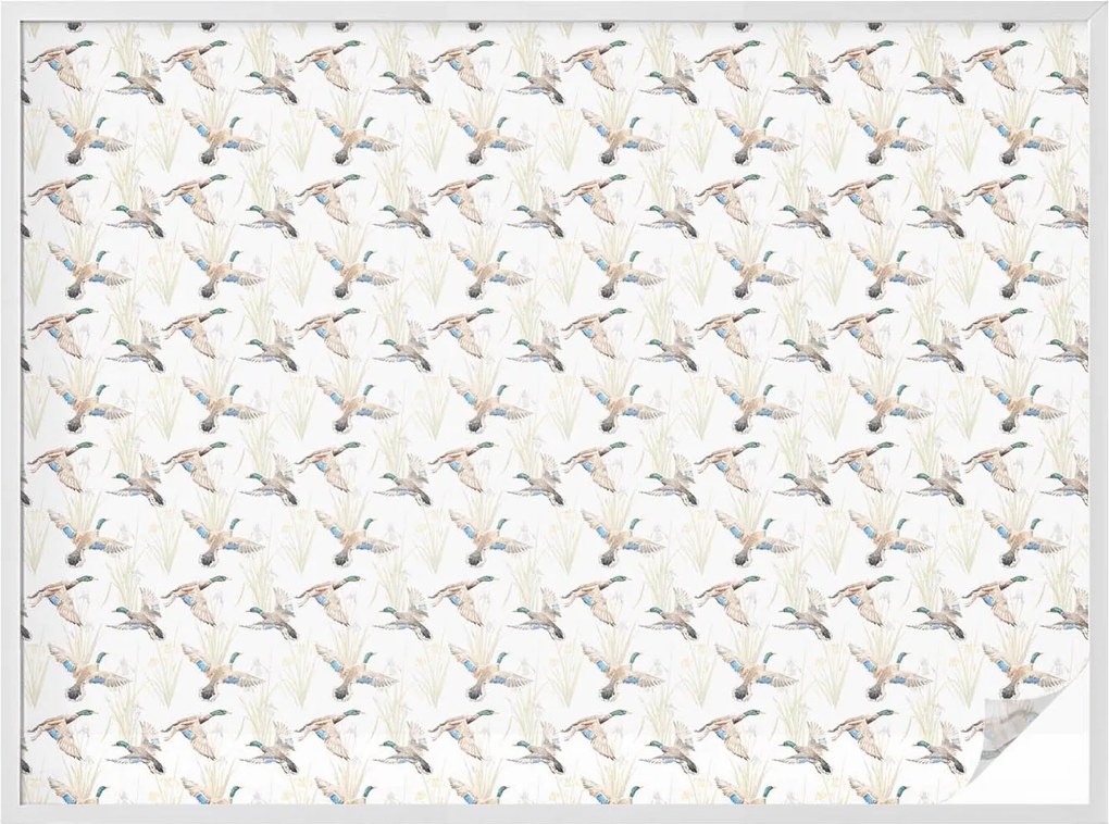 Öntapadós szélvédő furnér Adatvédelem Madarak természet 200x146