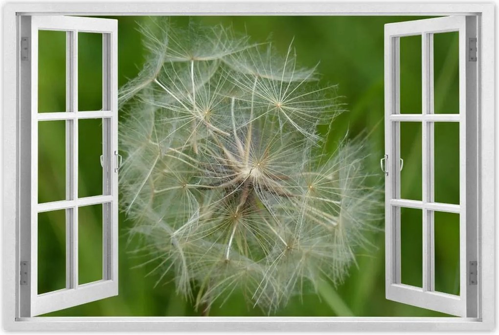 Poszterek 60x40 Pitypang Virág Virágok