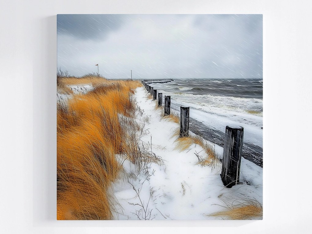 Vászonkép Canvas Téli Tengerpart Hó Tenger Hullámok Vihar Nád 80x80