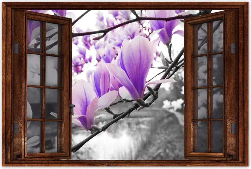 Poszterek 60x40 Magnólia Virágok