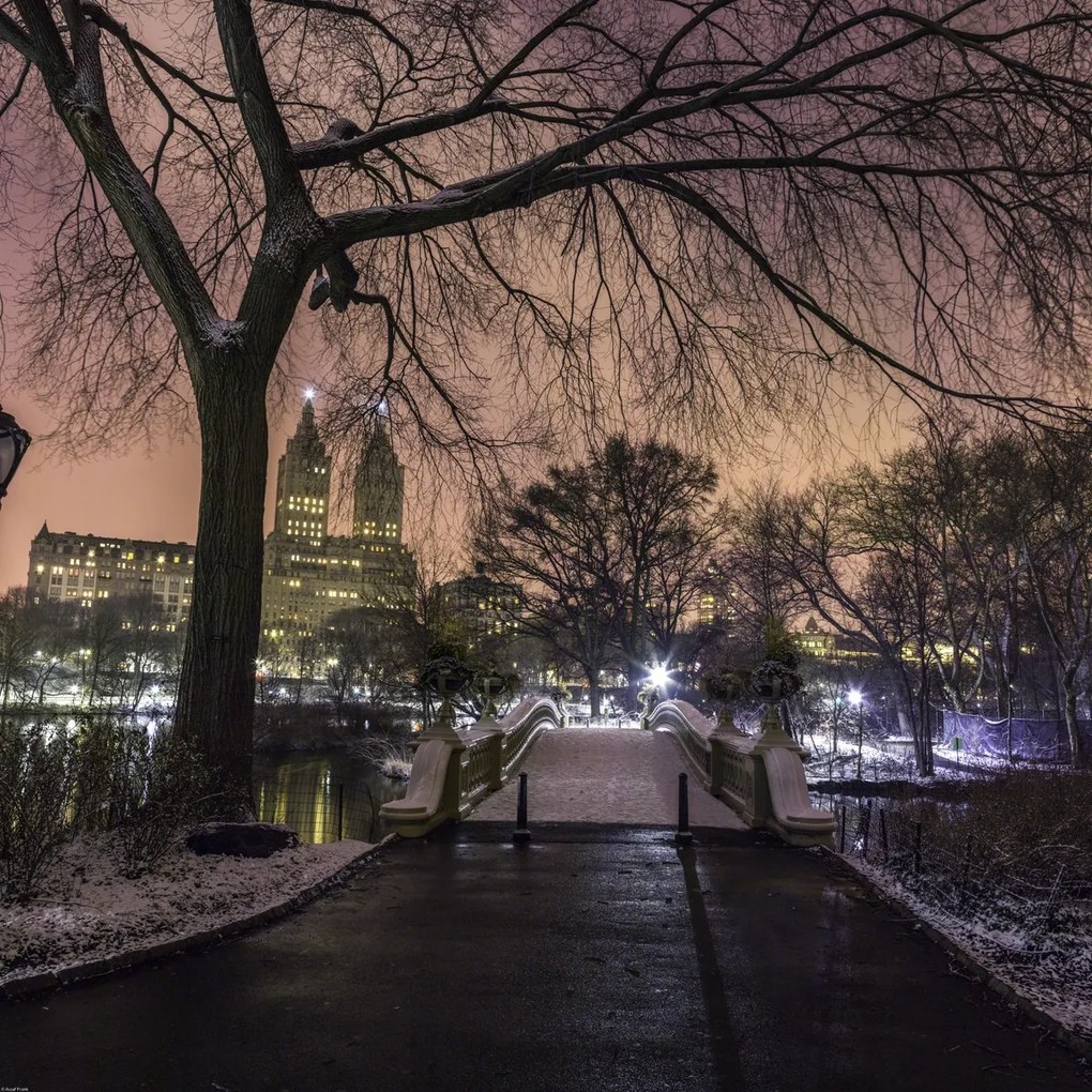 Poszter 70x70cm Esti kilátás a Central Parkra, Assaf Frank