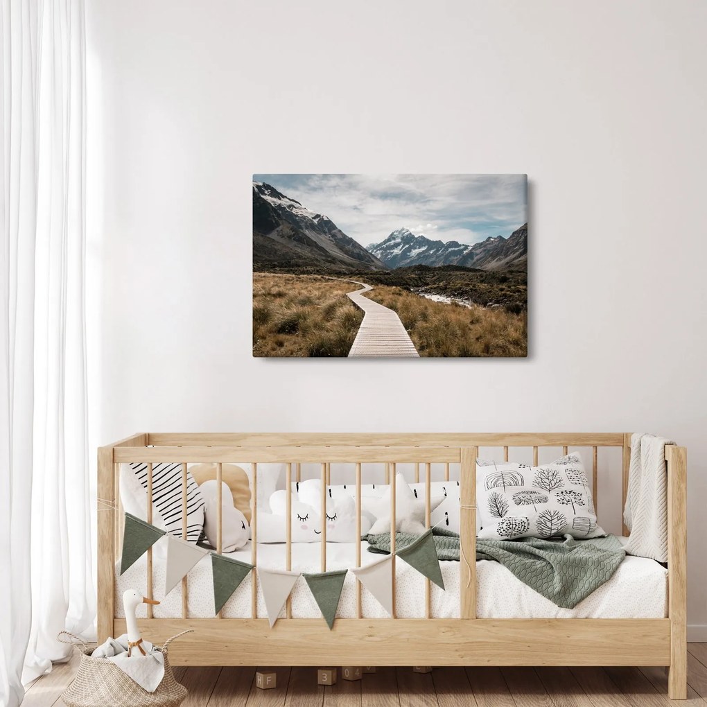 Kép - Sétány a hegységben Mt. Cook (90x60 cm)