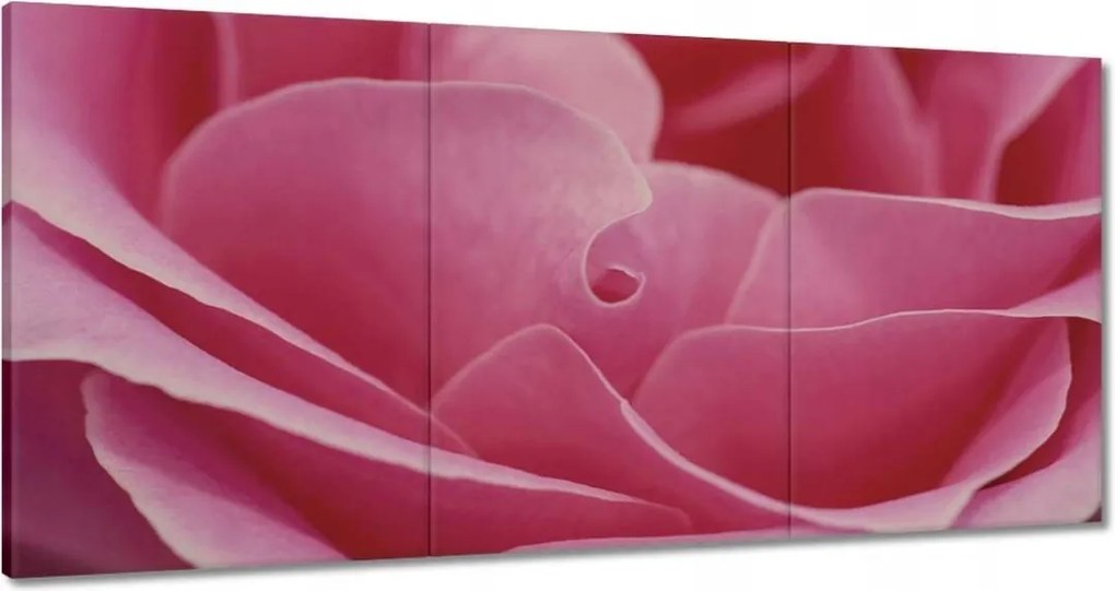 Vászonkép 120x60 Nőnap Ajándék Love