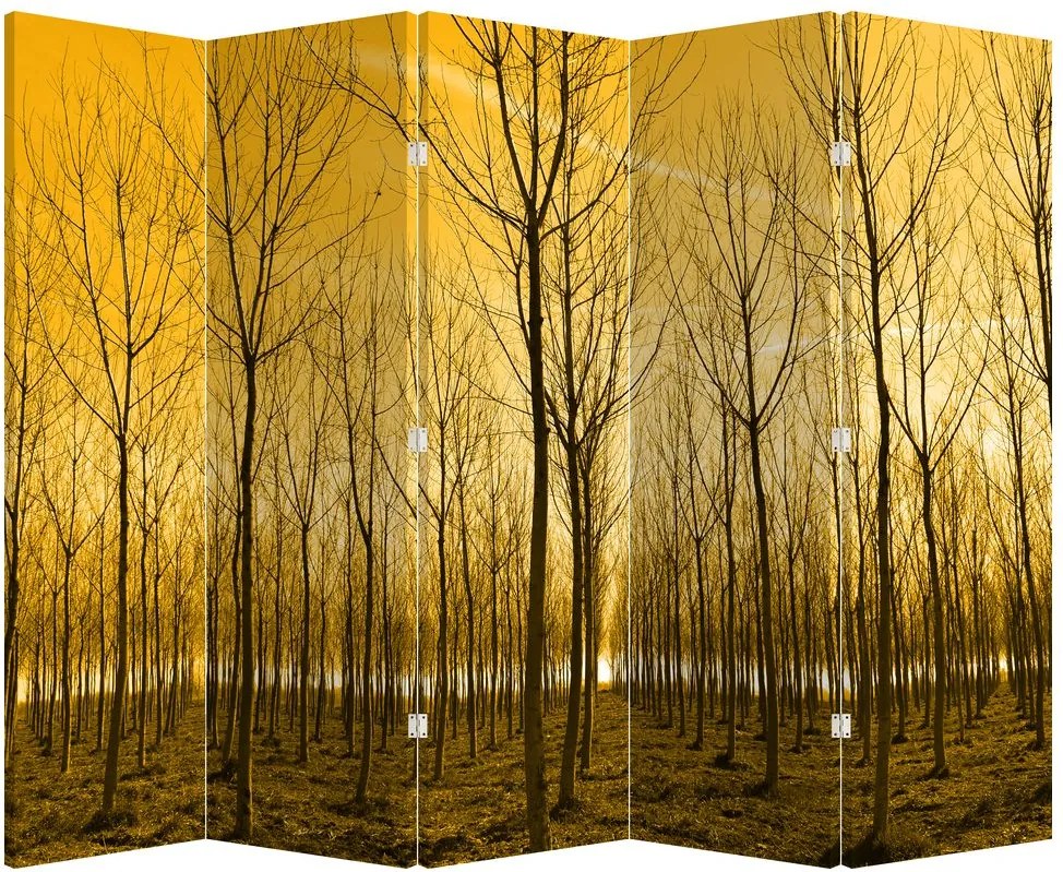 Paraván - Erdő naplementekor (210x170 cm)
