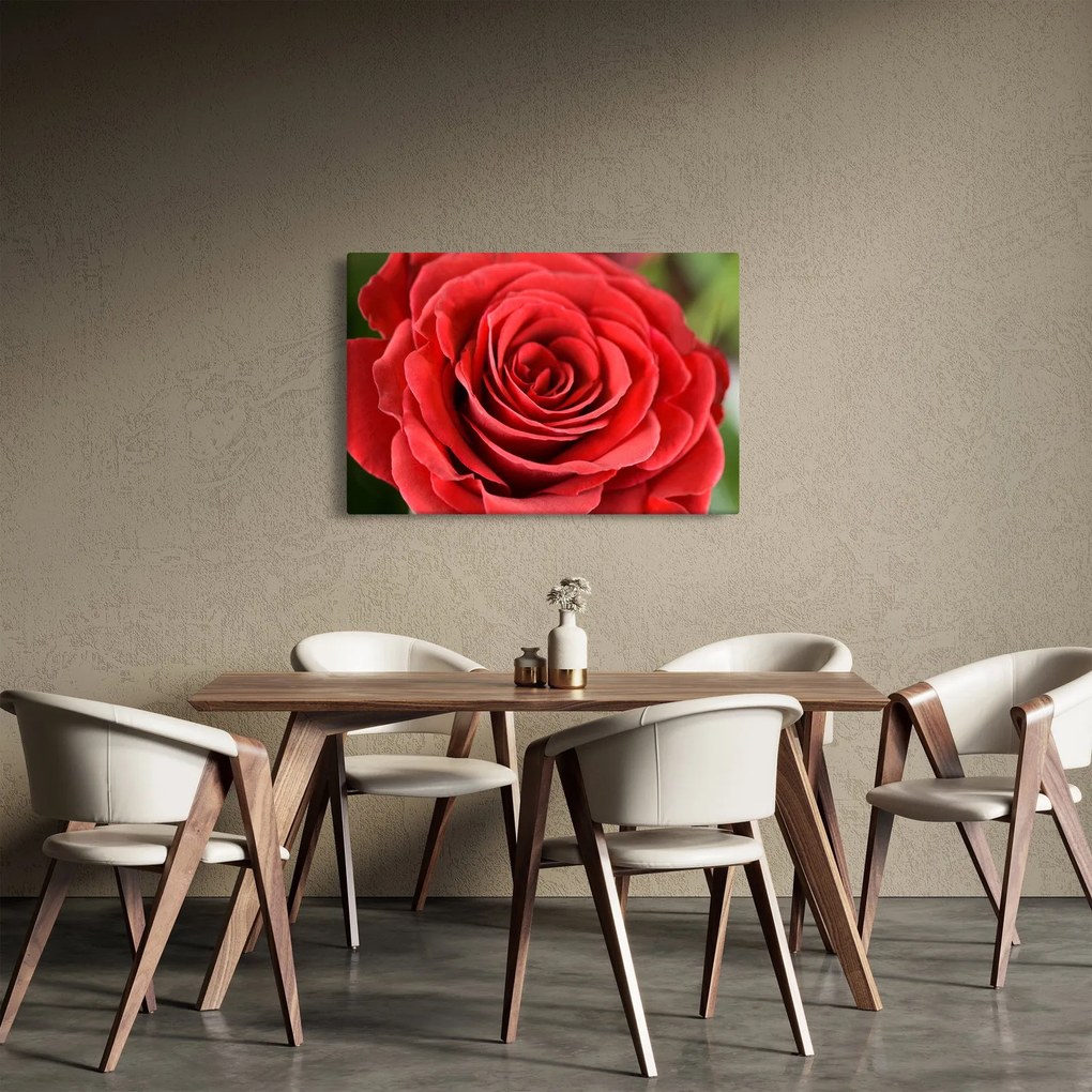 Egy rózsa virág képe (90x60 cm)