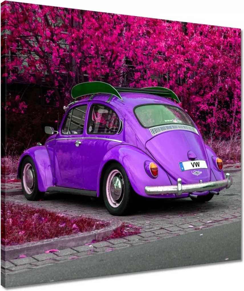 Vászonkép 50x50 Bogár Volkswagen Vw Auto