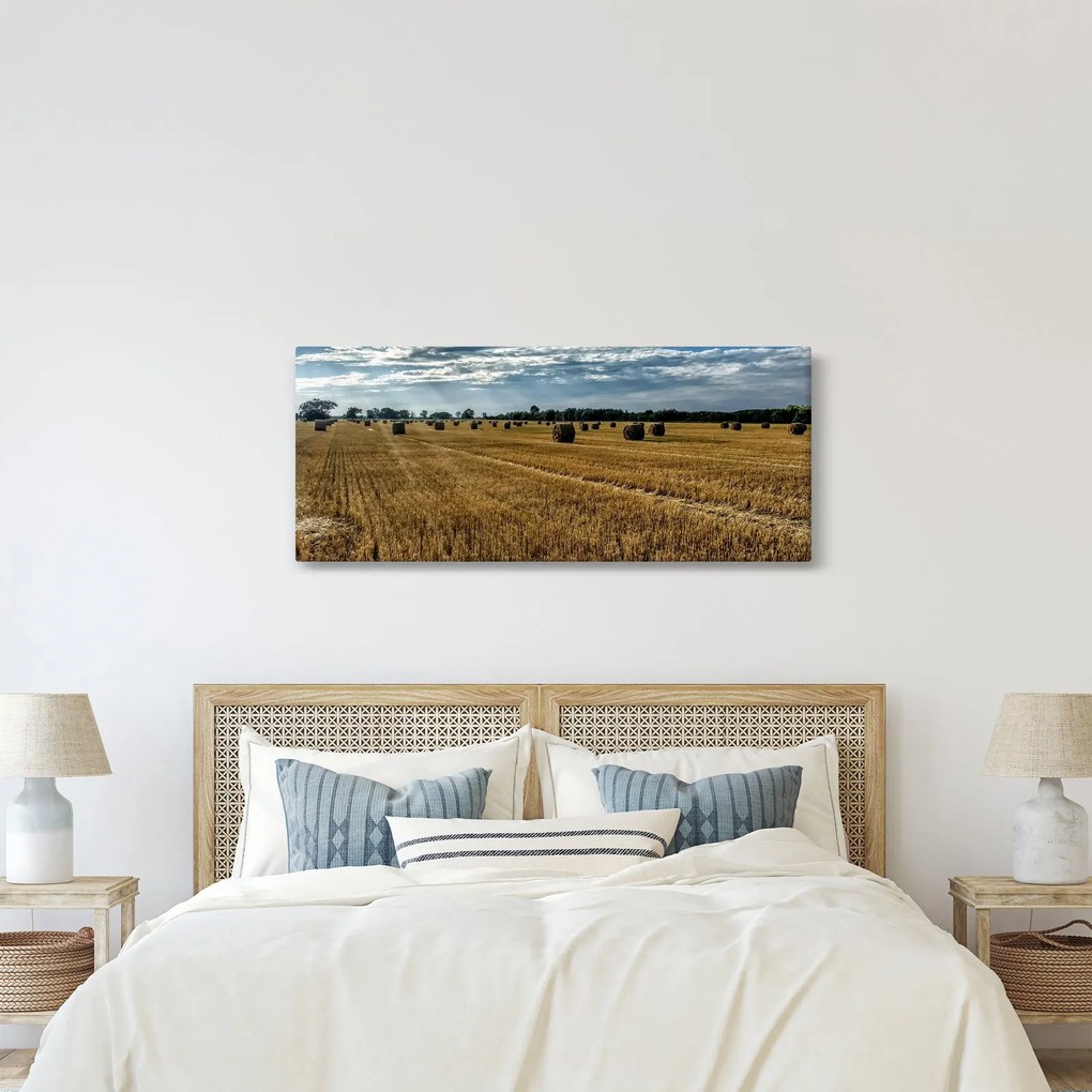 Betakarított gabona mező képe (120x50 cm)